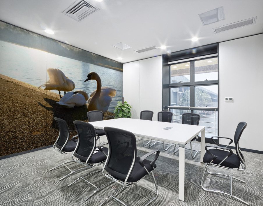 Swan Yoga Morning Stretch 3 Wall Printing