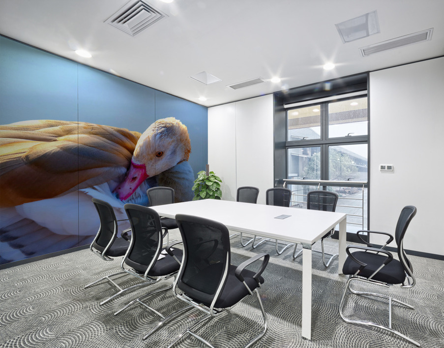 Got My Eye On You Duck Wall Printing