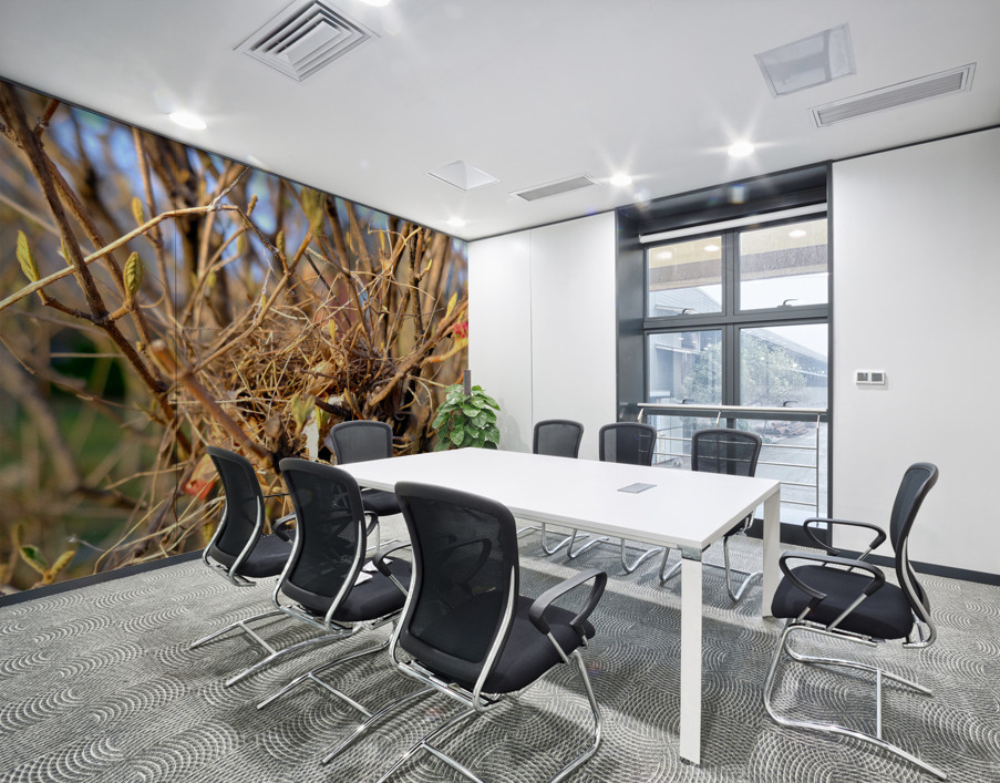 Sanctuary Among Branches Wall Printing