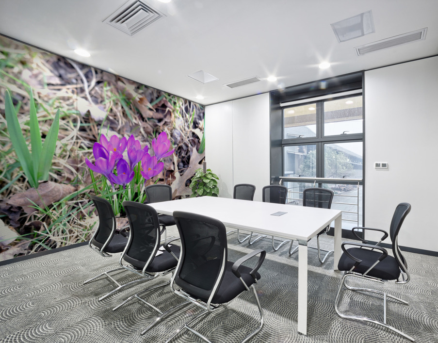 Crocus Revival Wall Printing