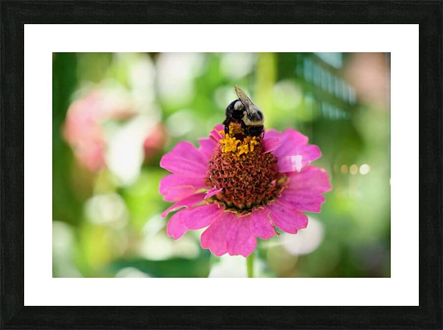 Petals and Purpose: An Ode to Quiet Industry Picture Frame print