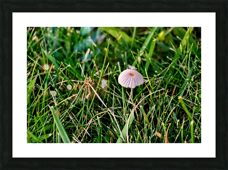 The Littlest Umbrella Picture Frame print