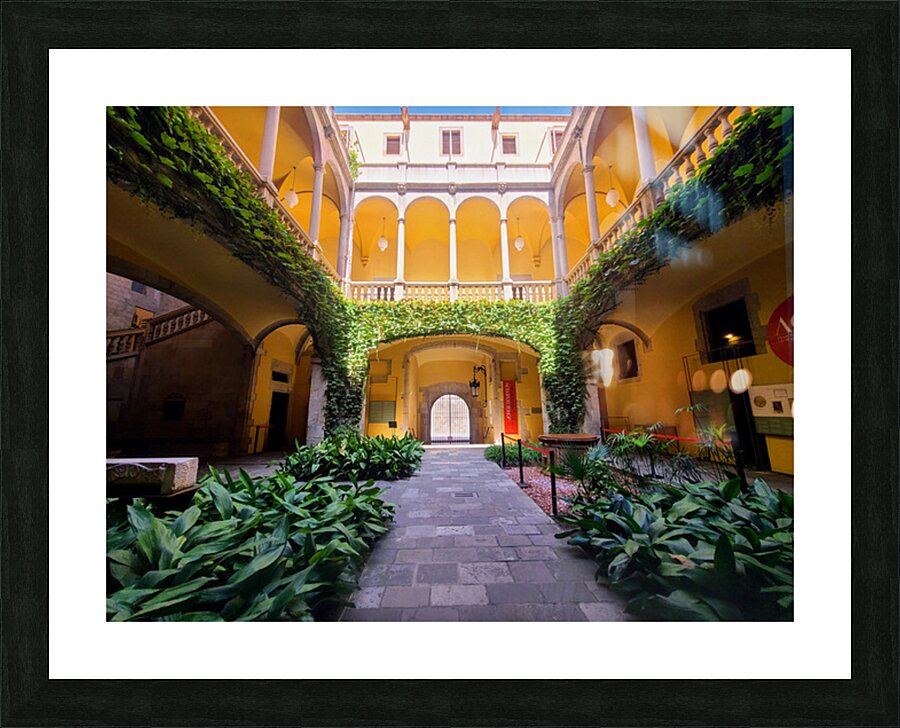  Solitude in Sunlight Impression et Cadre photo