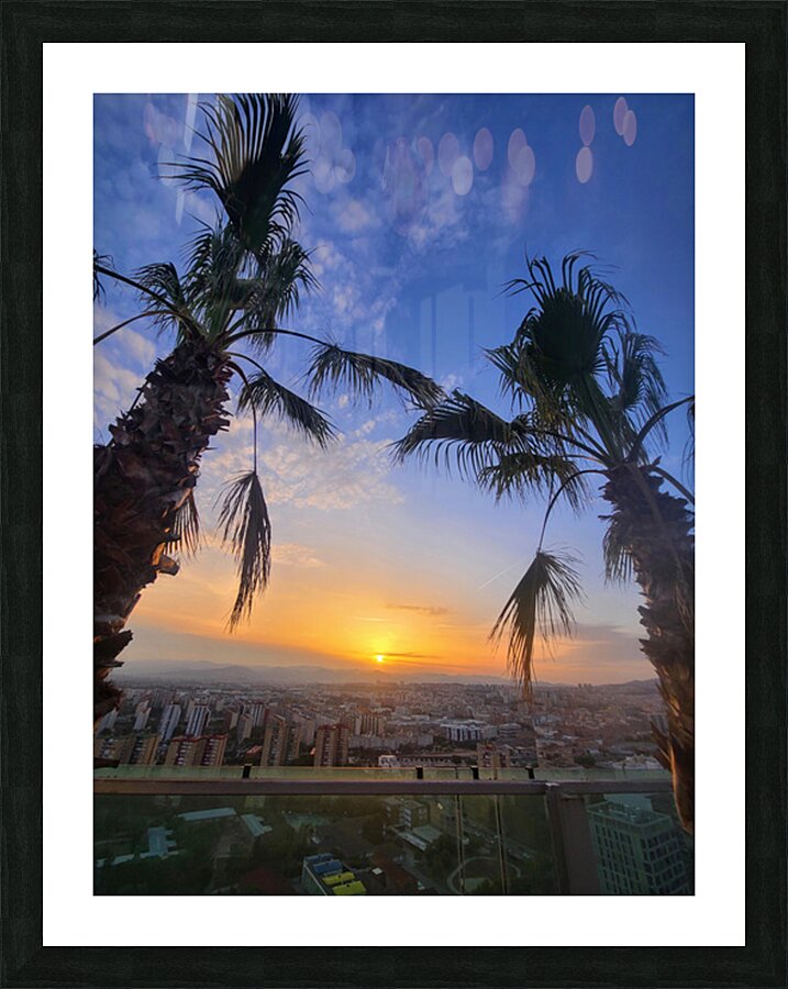 Golden Drift Between Palms Picture Frame print