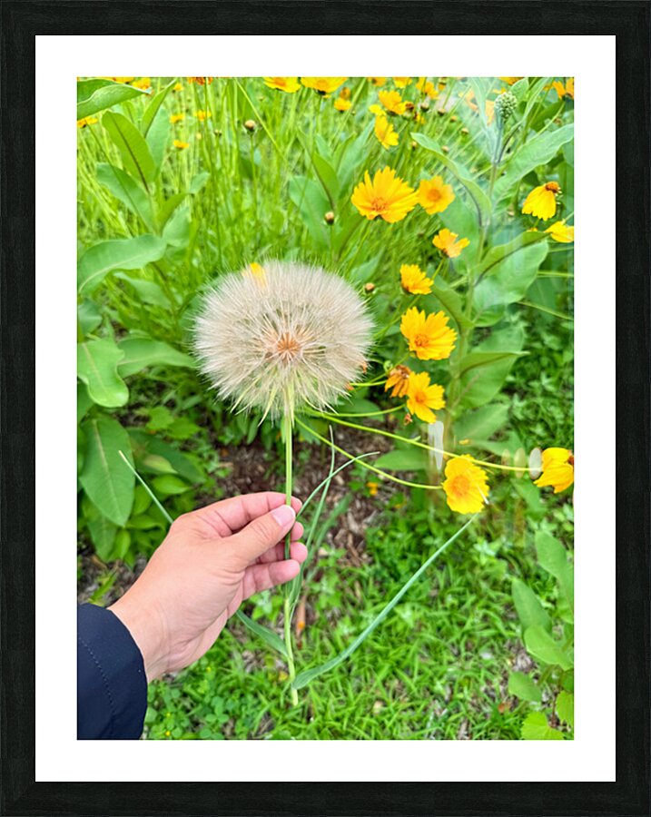Cartography of a Wish Picture Frame print