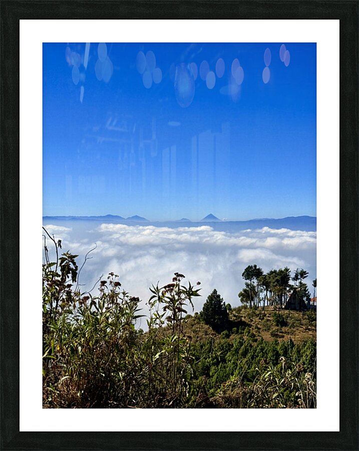 IMG 9140 Picture Frame print