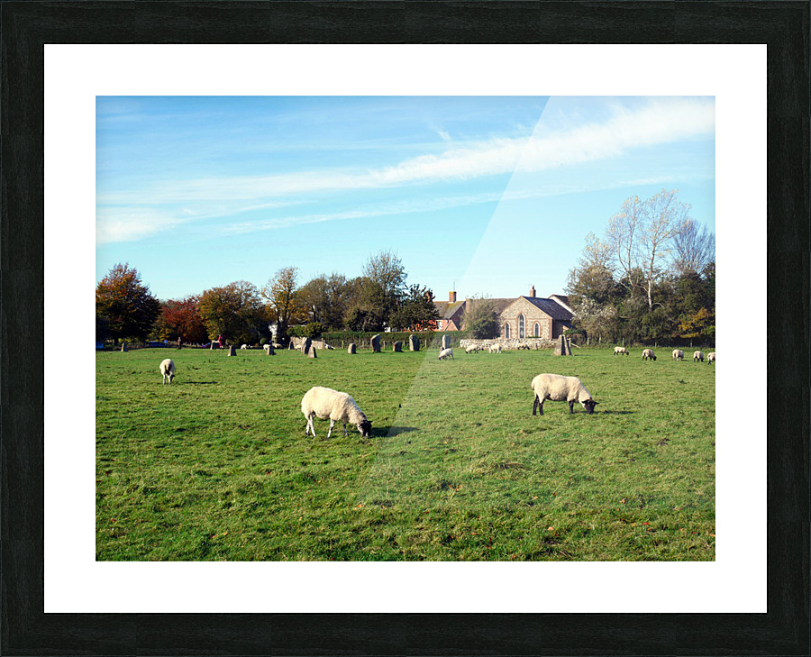 Grazing Fields of Avebury Henge and Stone Circles  Impression et Cadre photo