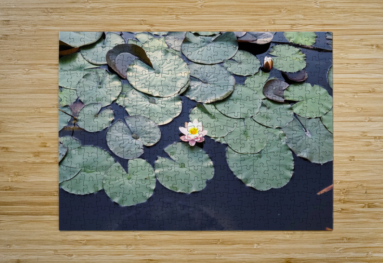 Stillwater Bloom Click4Pix Puzzle printing