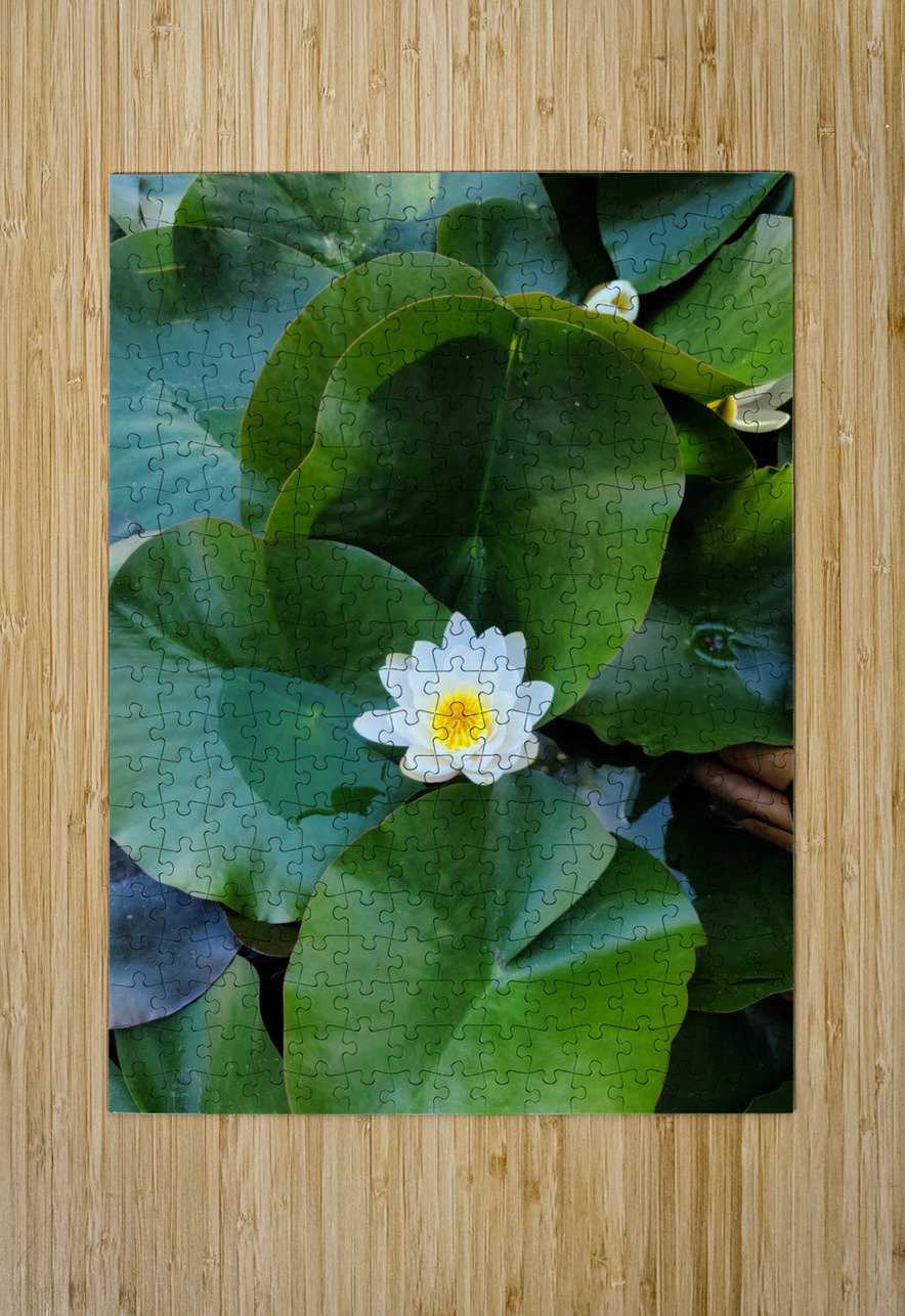 Blooms of Joy: Silence Speaks in Petals Click4Pix Puzzle printing
