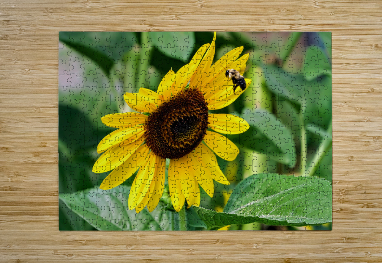 Flying into the Sun..Flower – The Dance of Daylight Click4Pix Puzzle printing