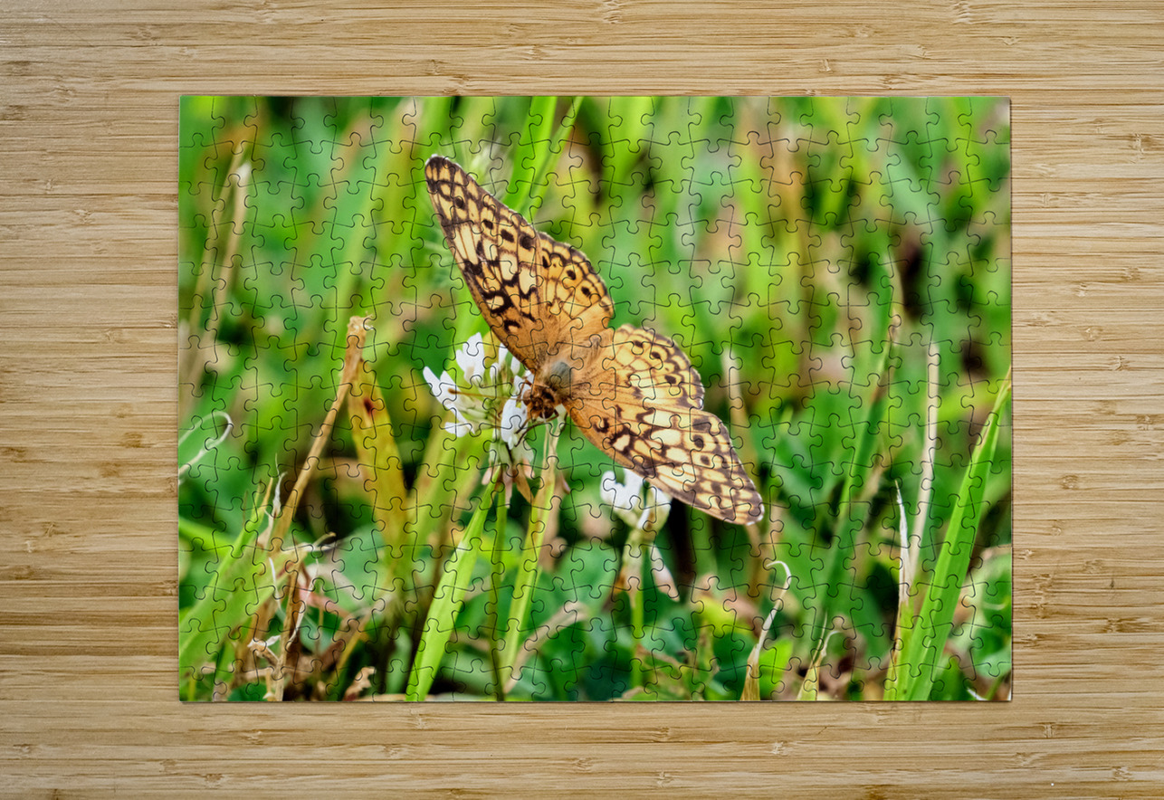 Field Cipher: A Nature Decoded Click4Pix Puzzle printing