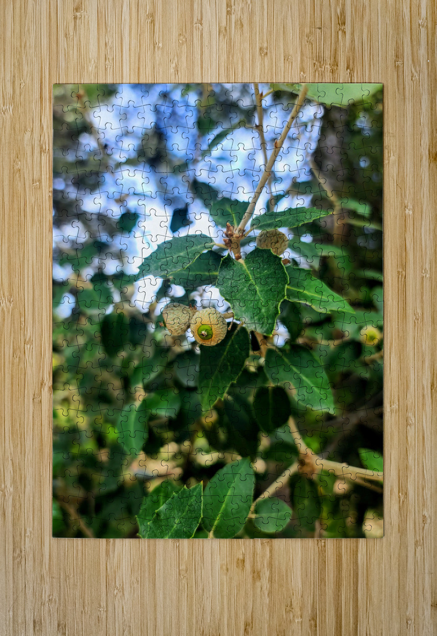 Emergence in Green Click4Pix Puzzle printing