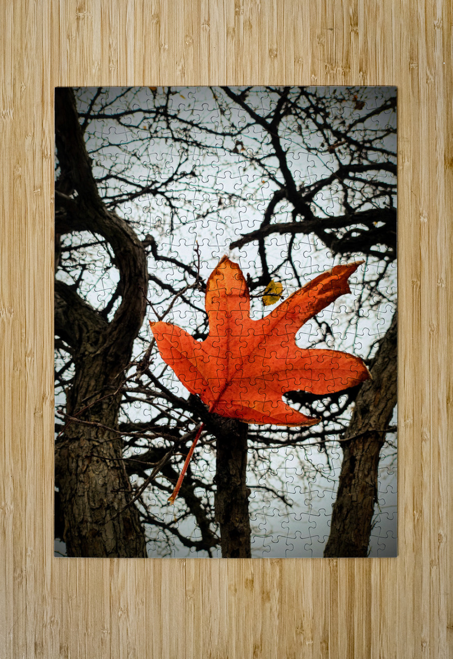 A Fallen Farewell: One Last Note Click4Pix Puzzle printing