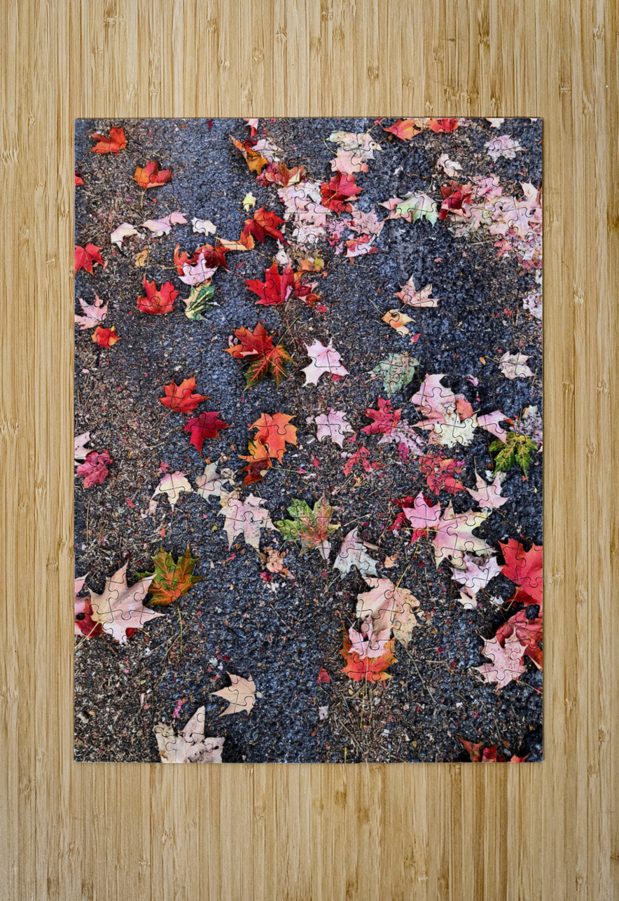 Grounded in Colors: Scattered Beauty Click4Pix Puzzle printing