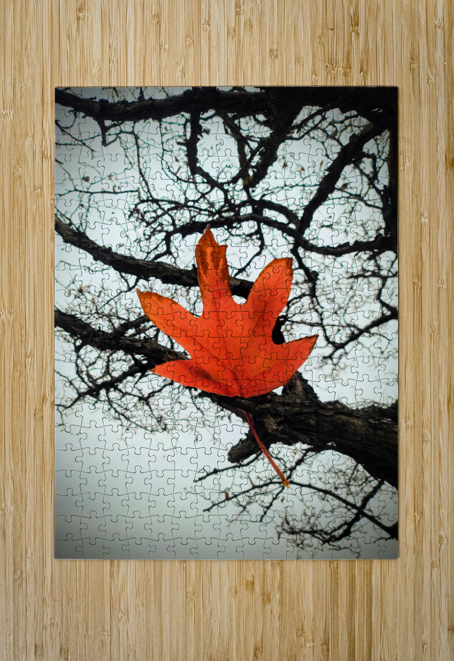 A Fallen Farewell : Defiant Ember Click4Pix Puzzle printing