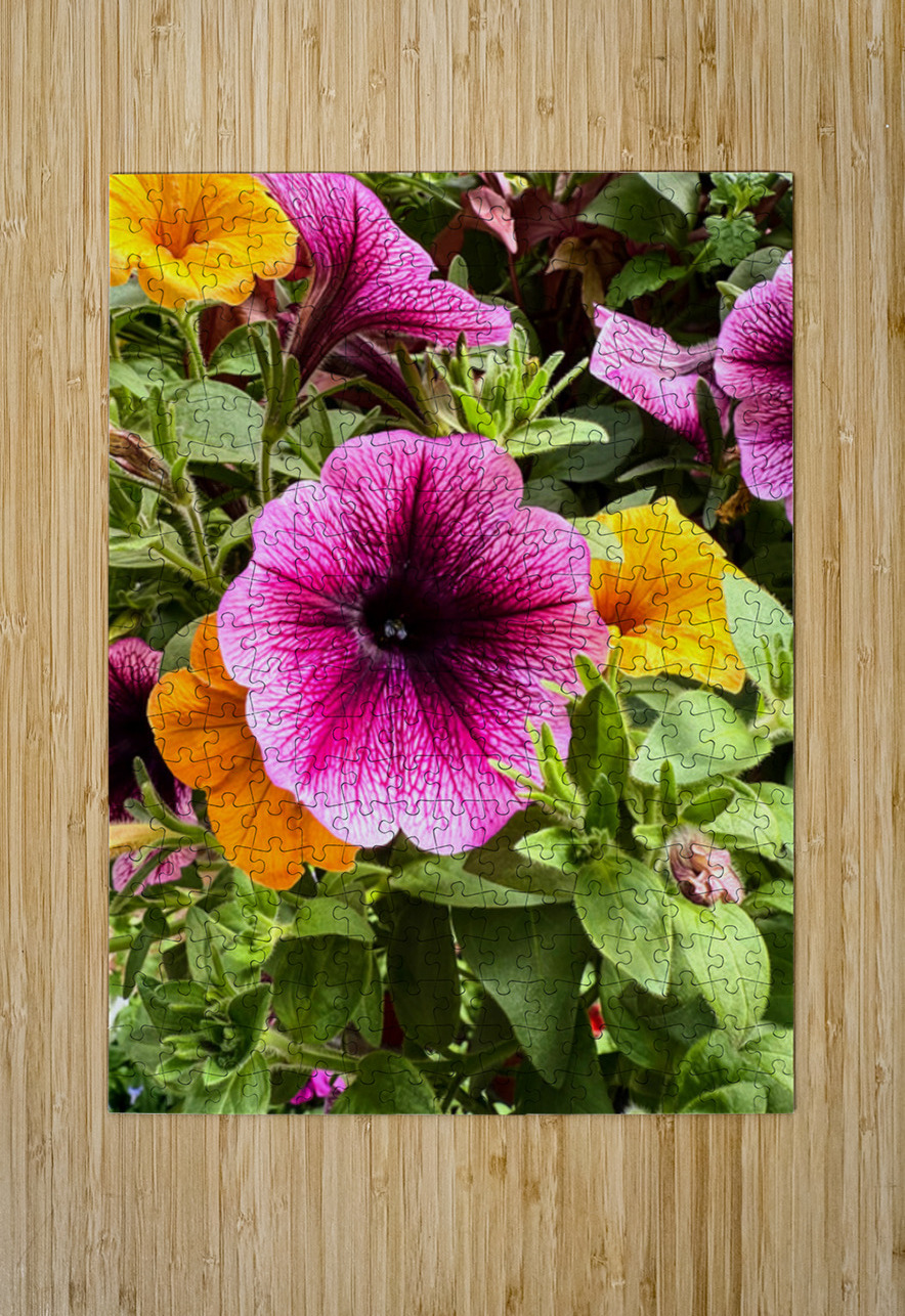 Whispers in Bloom – Petunia Poetry Click4Pix Puzzle printing