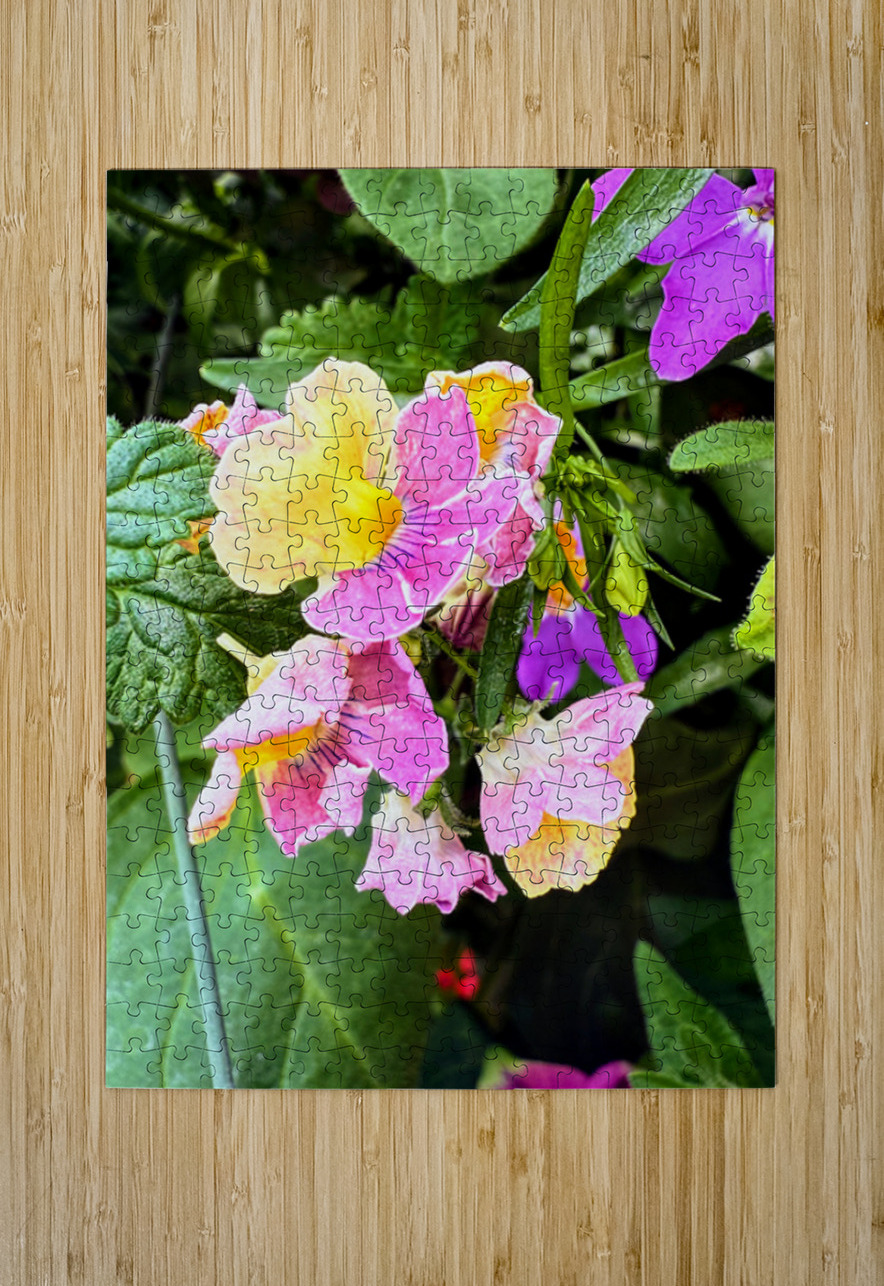 Vibrant Garden Bloom – Colorful Flower Close-Up with Lush Greenery-2 Click4Pix Puzzle printing