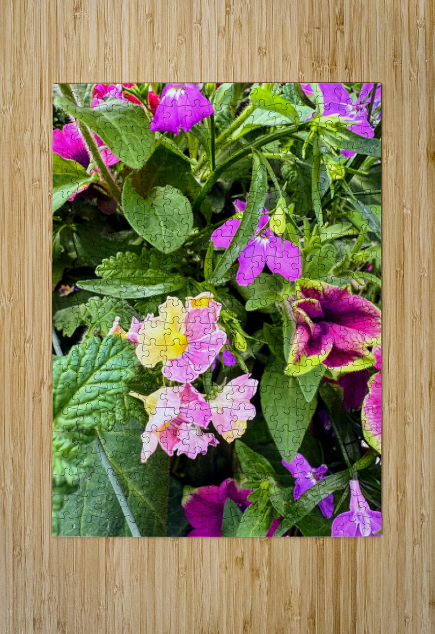 Vibrant Garden Bloom – Colorful Flower Close-Up with Lush Greenery-1 Click4Pix Puzzle printing