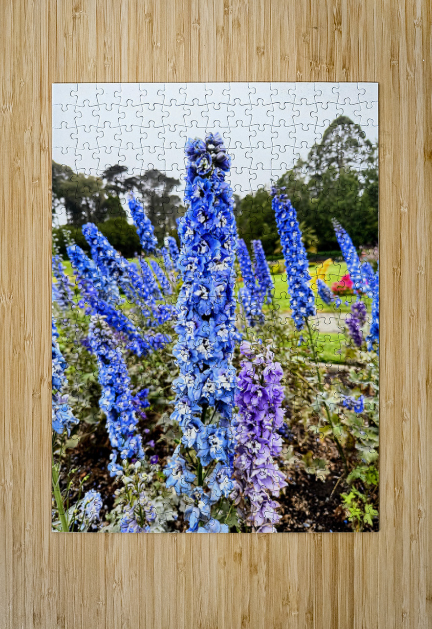 Whispers in Ultramarine Click4Pix Puzzle printing