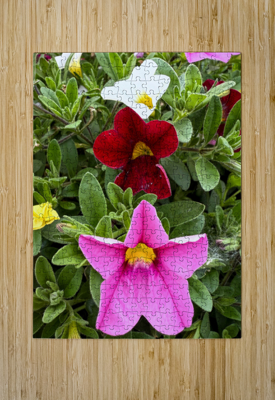 Bold Petals Quiet Strength Click4Pix Puzzle printing