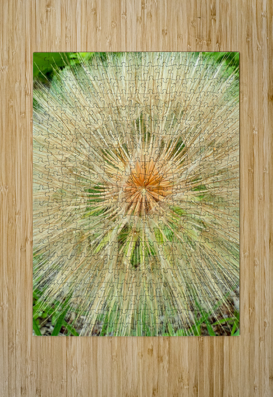 Nature’s Compass: All Directions One Origin Click4Pix Puzzle printing