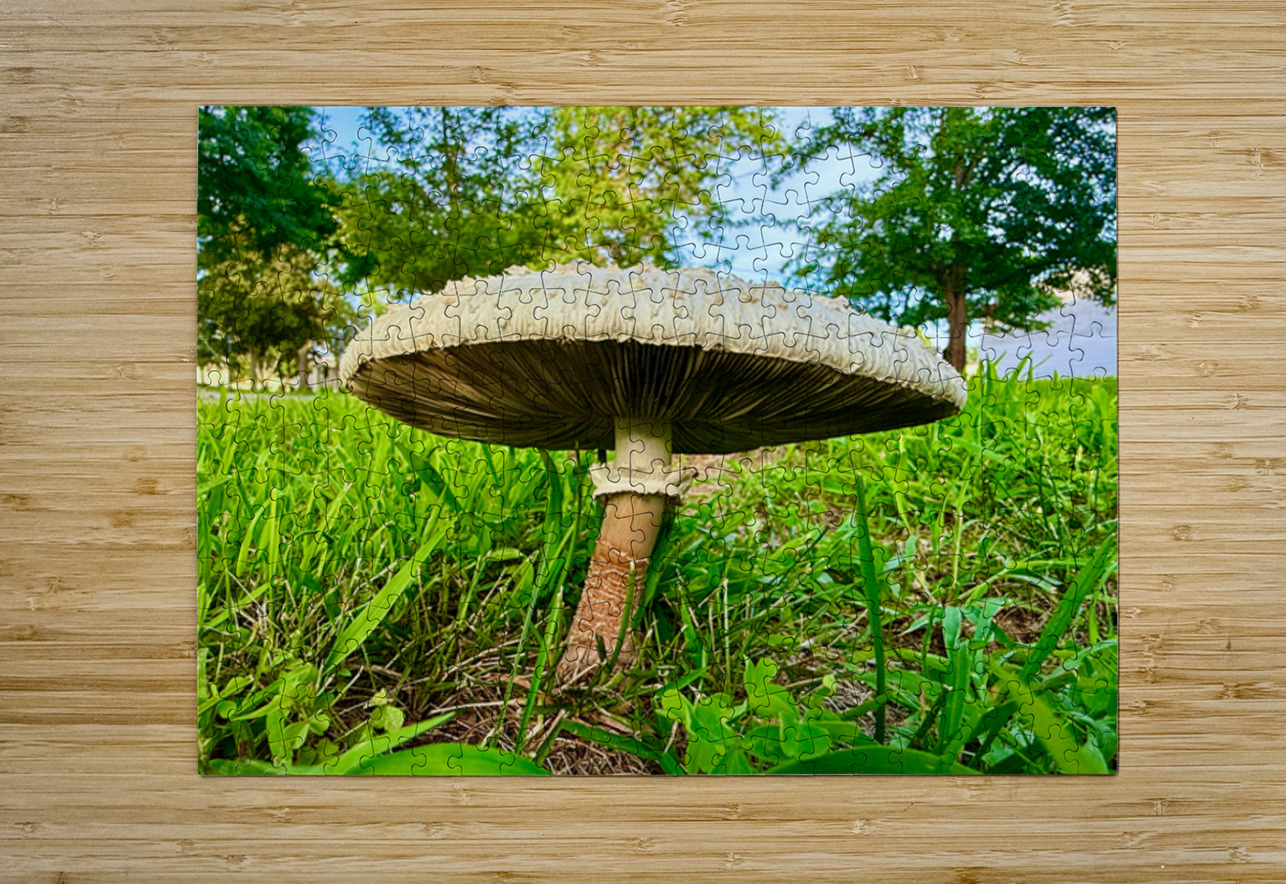 The Watcher in the Grass Click4Pix Puzzle printing