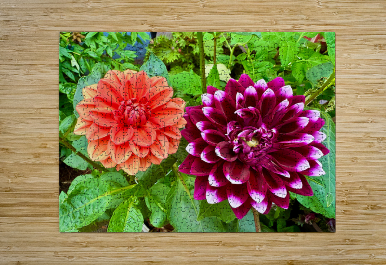 Harmony Blooms: When Opposites Flower Together Click4Pix Puzzle printing