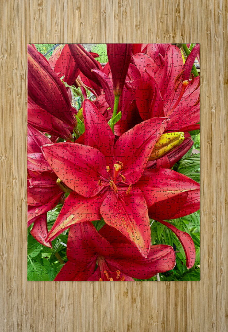 Close Encounter with Red Asiatic Lily Click4Pix Puzzle printing