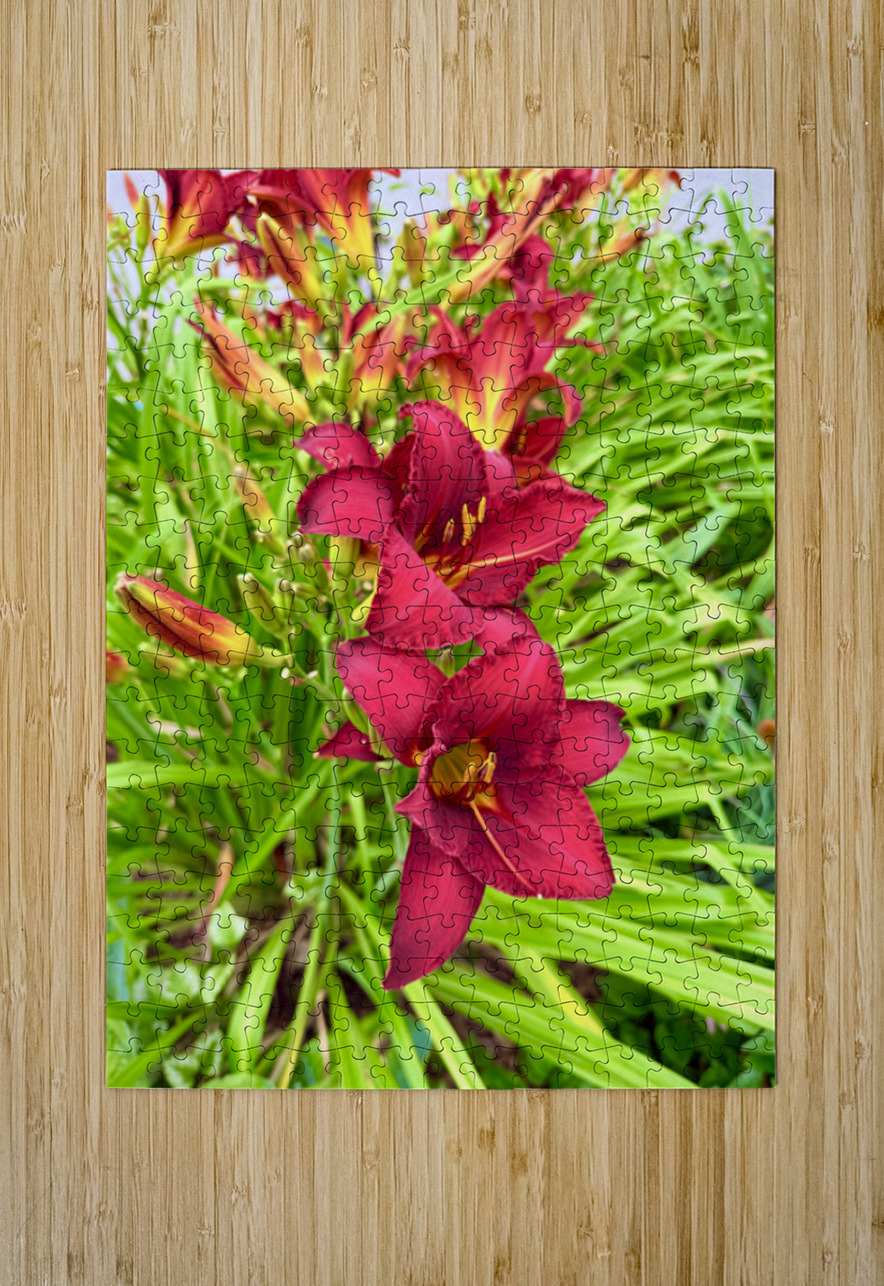 Flame of the Garden Click4Pix Puzzle printing