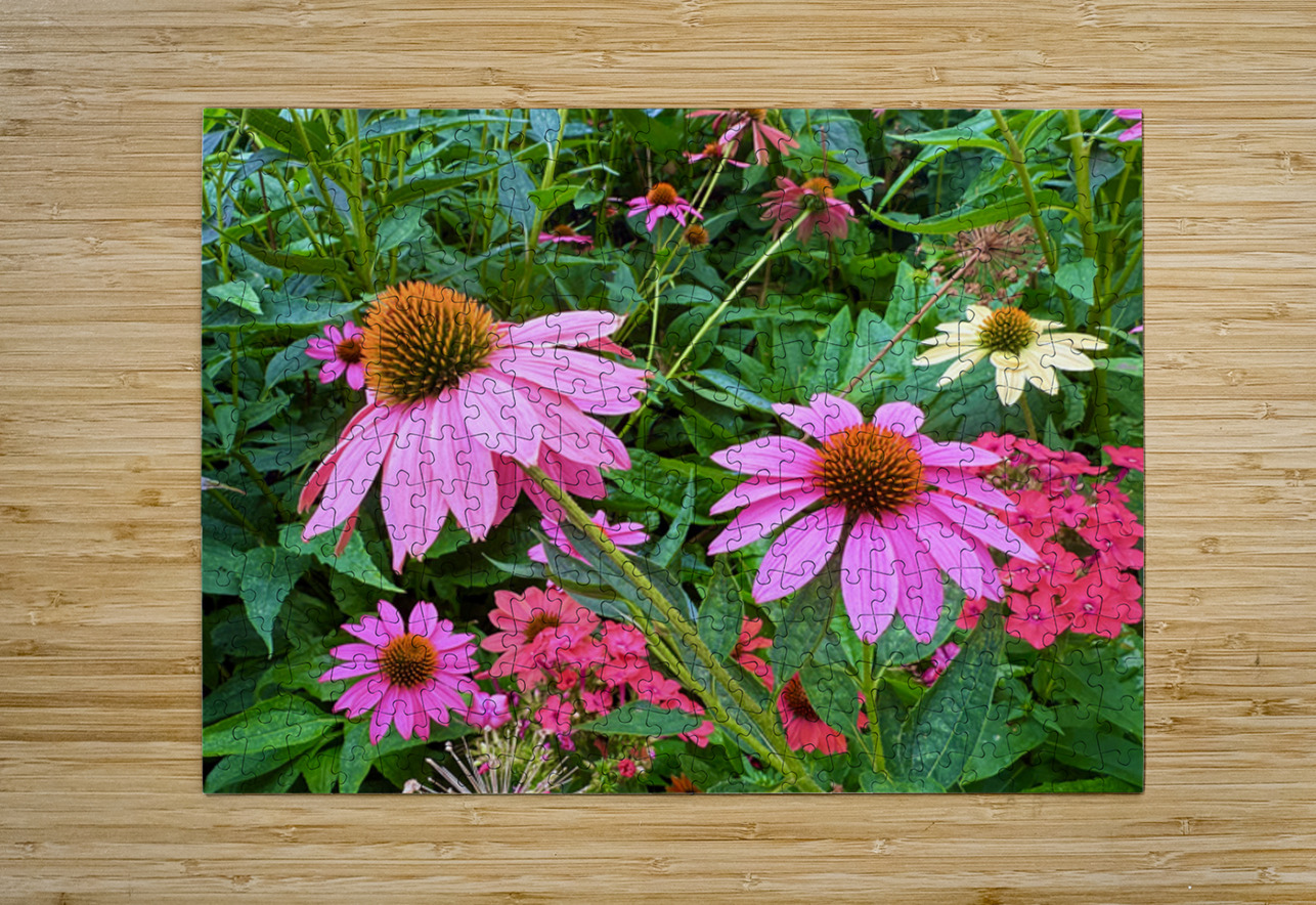 Coneflower Chorus Click4Pix Puzzle printing