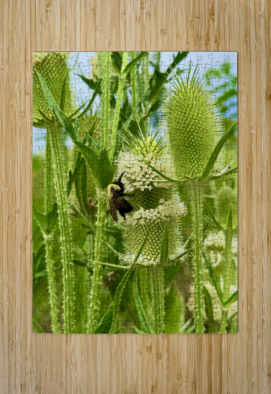 Wings and Spikes Click4Pix Puzzle printing