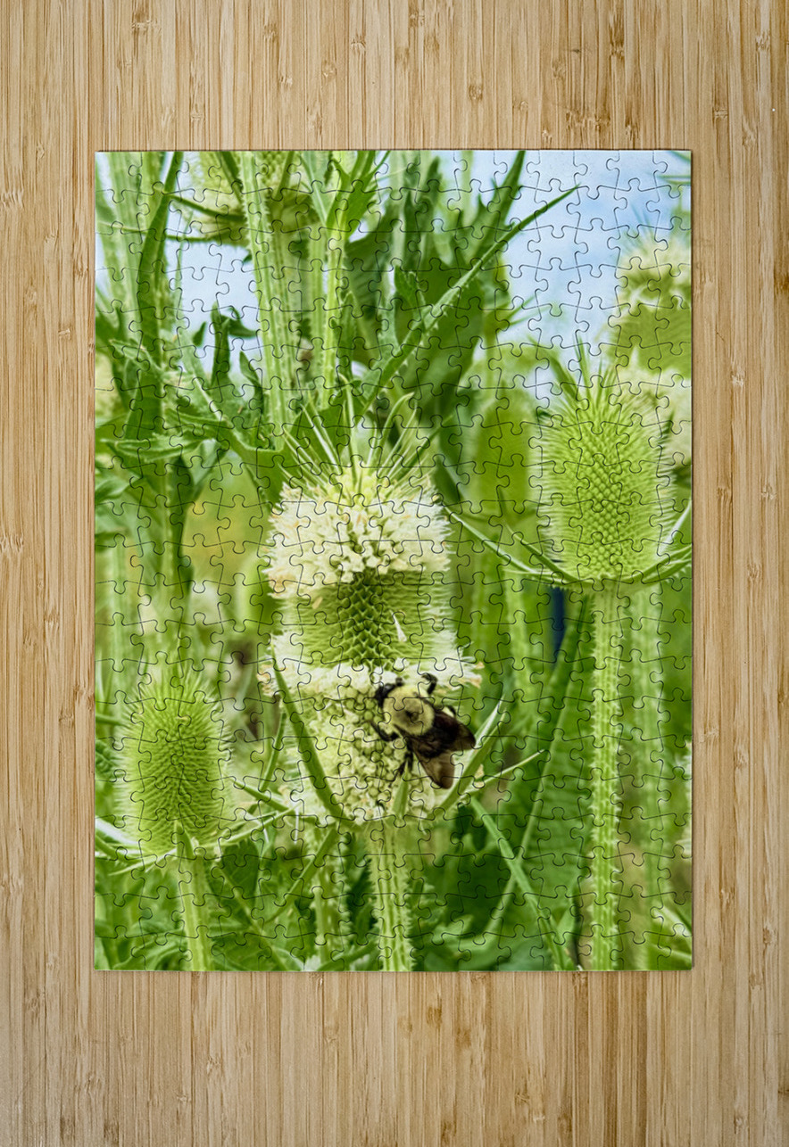 Nature’s Bristle Crown Click4Pix Puzzle printing