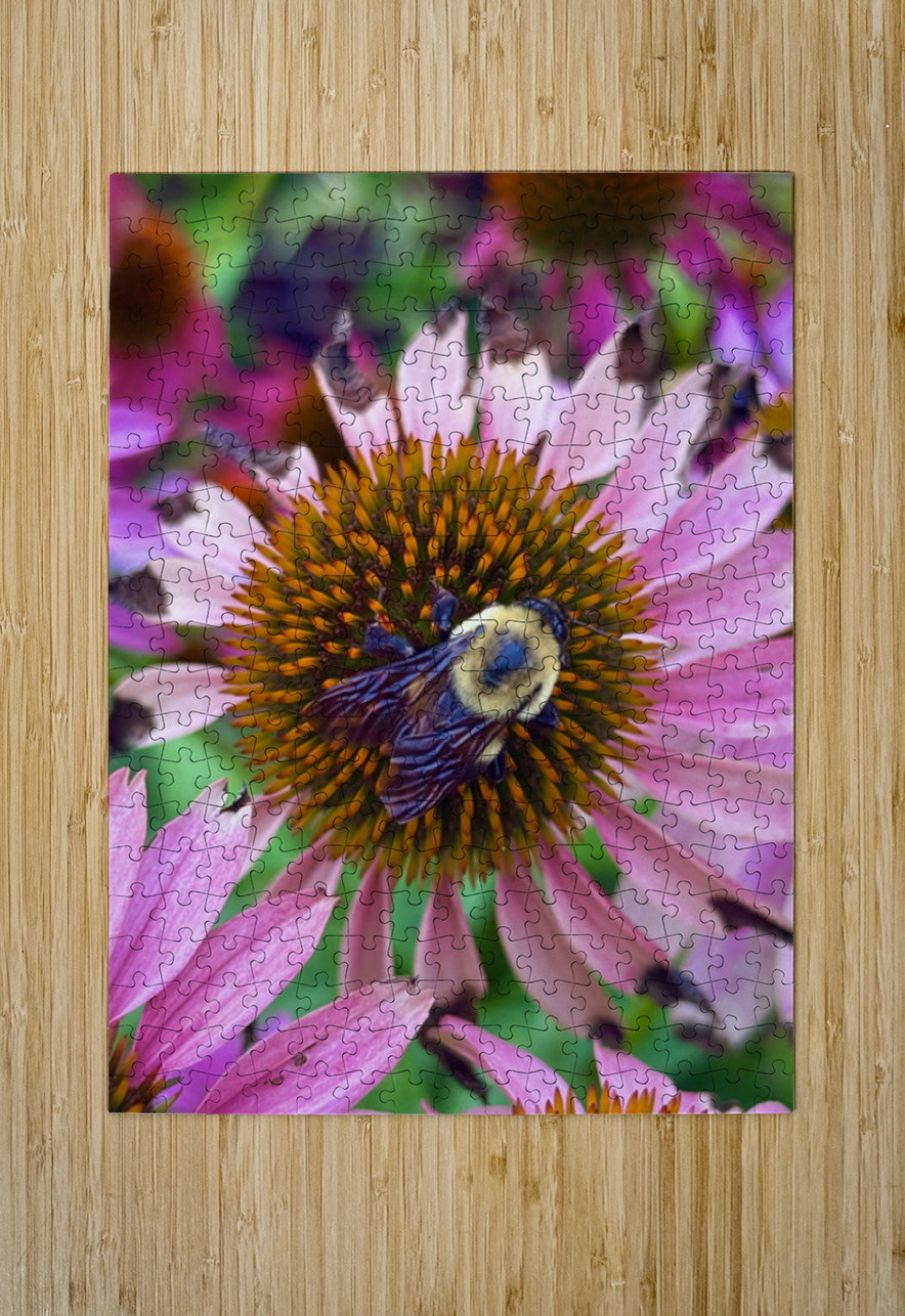 The Heart of Nature Click4Pix Puzzle printing