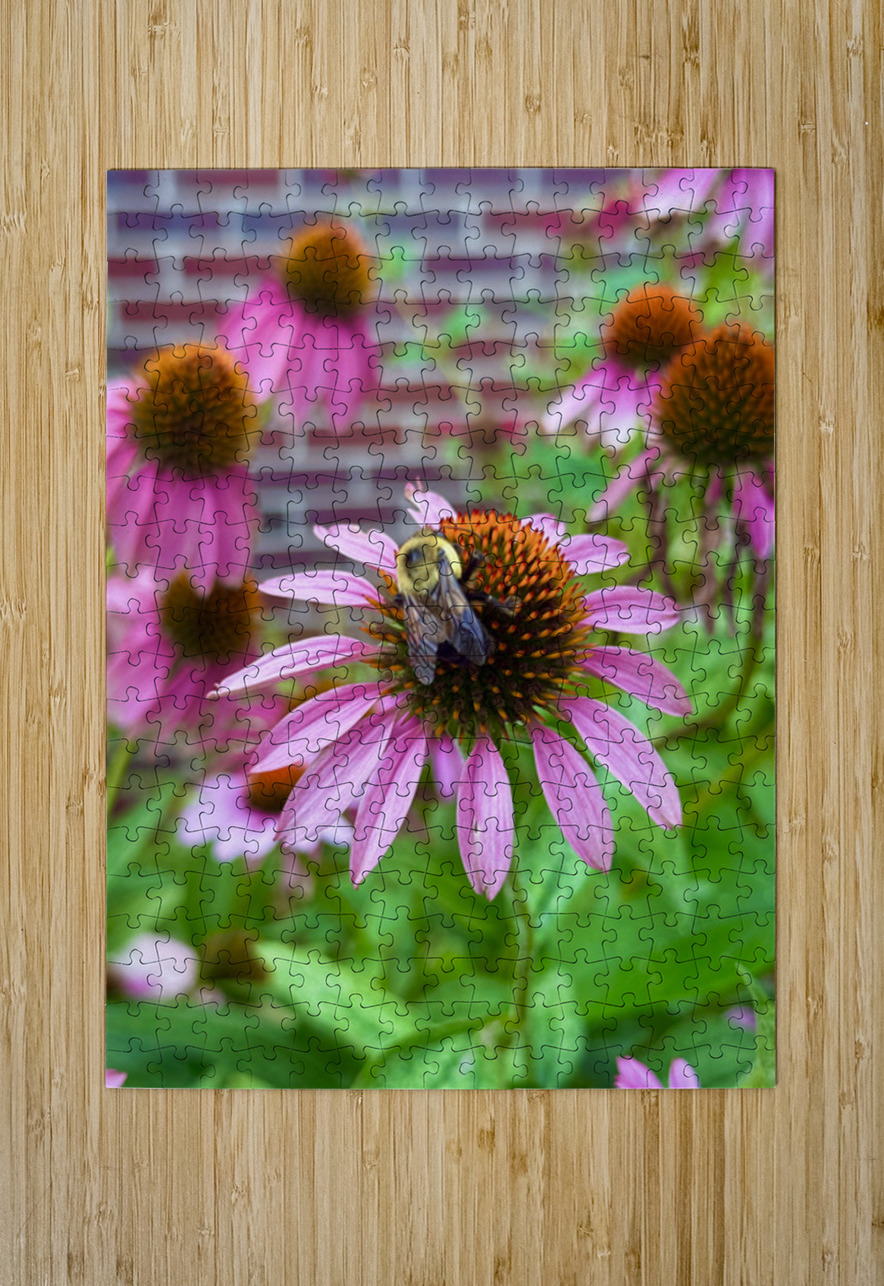 Coneflower Harmony Click4Pix Puzzle printing