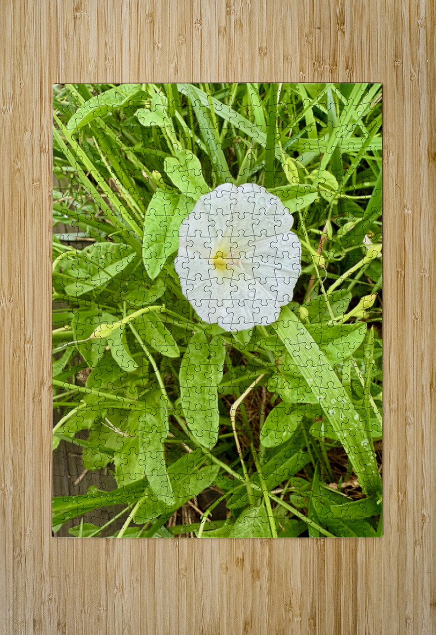 Bindweed Poise Click4Pix Puzzle printing