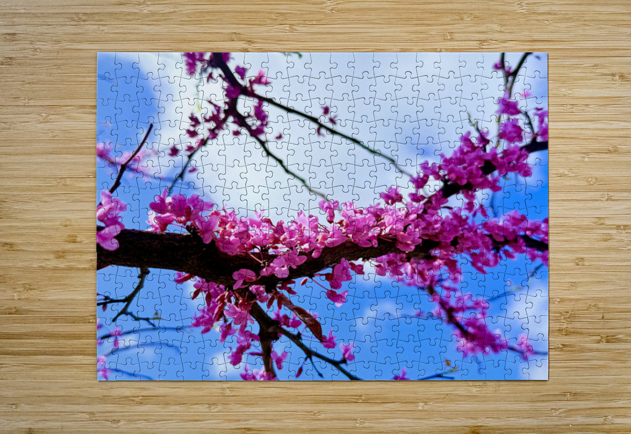 IMG 1704 Click4Pix Puzzle printing