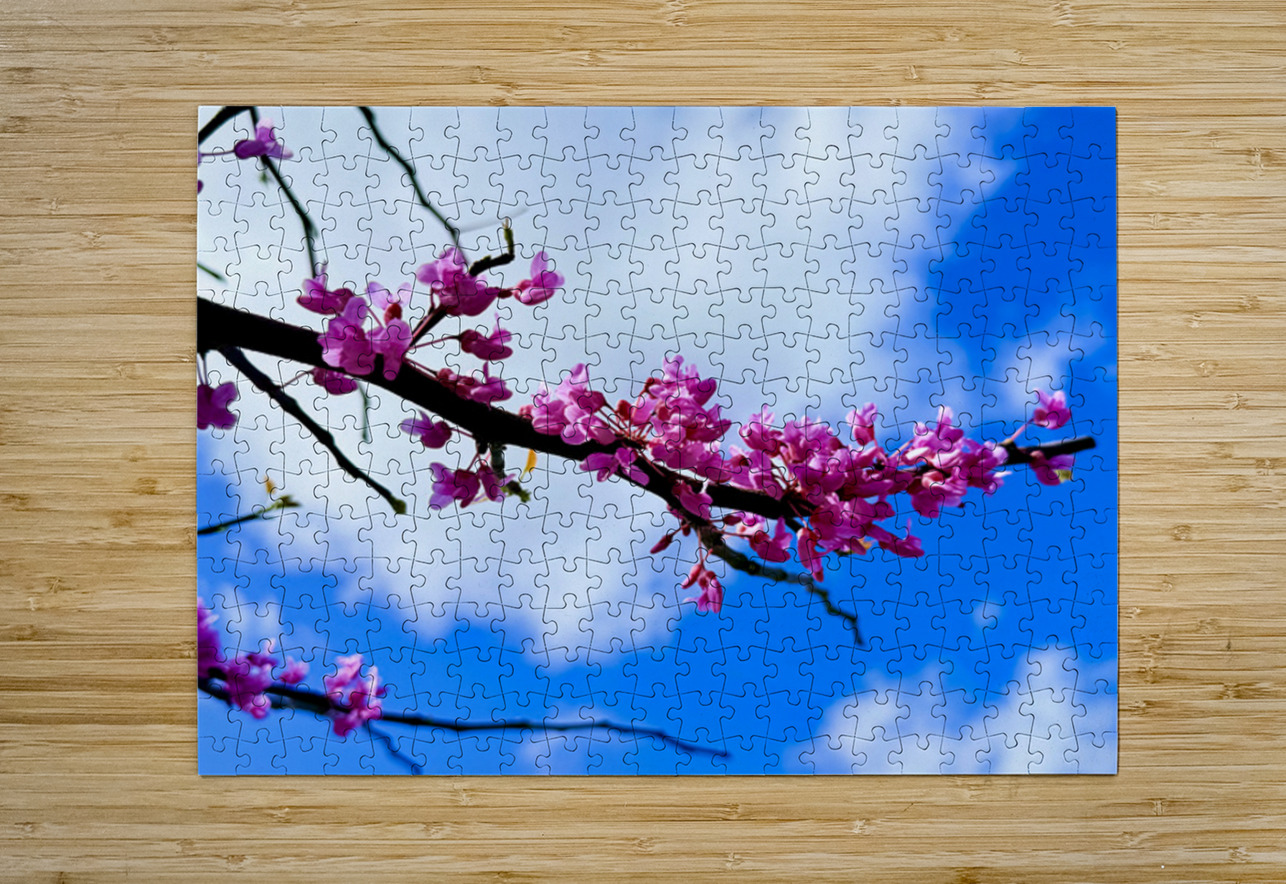 Bloom Bridge Click4Pix Puzzle printing