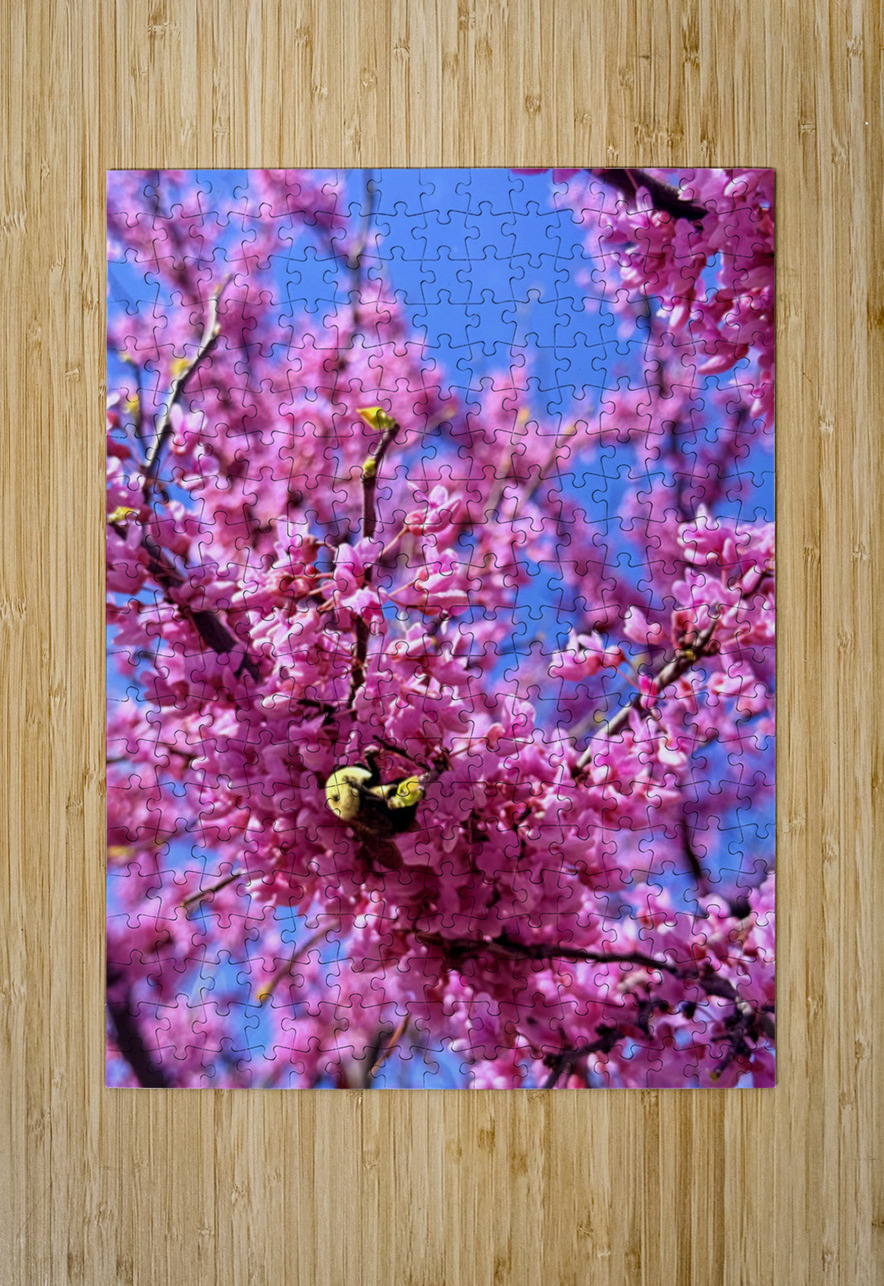 Bloom Diver Click4Pix Puzzle printing
