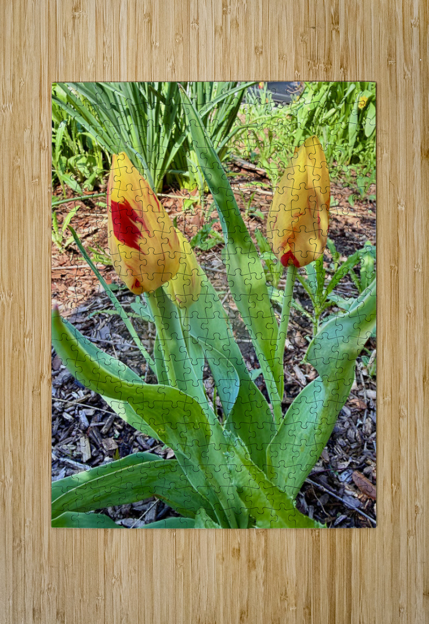 Double Flame Click4Pix Puzzle printing