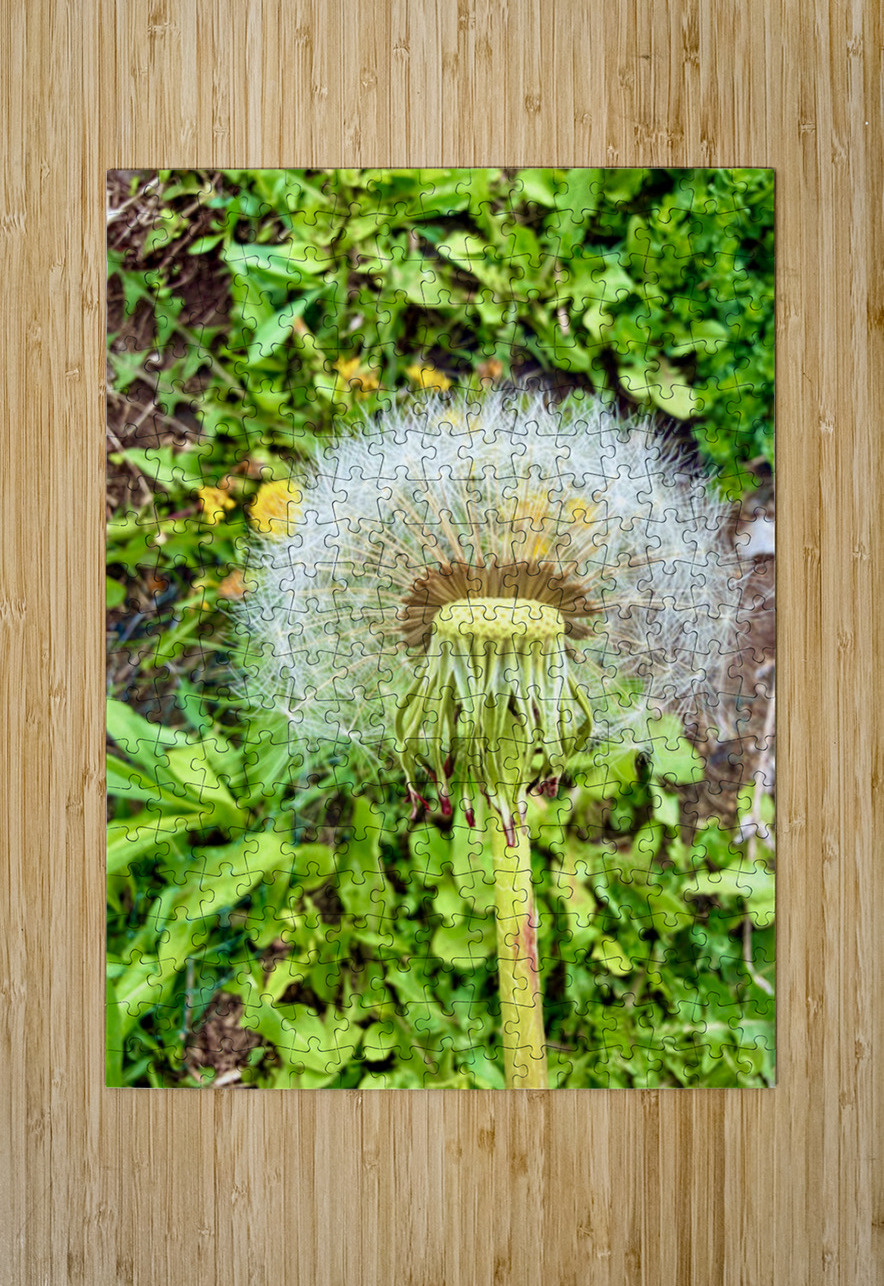 IMG 1757 Click4Pix Puzzle printing