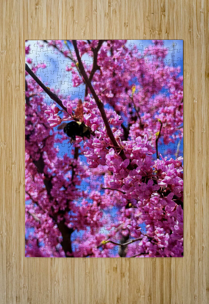 Redbud Season Click4Pix Puzzle printing