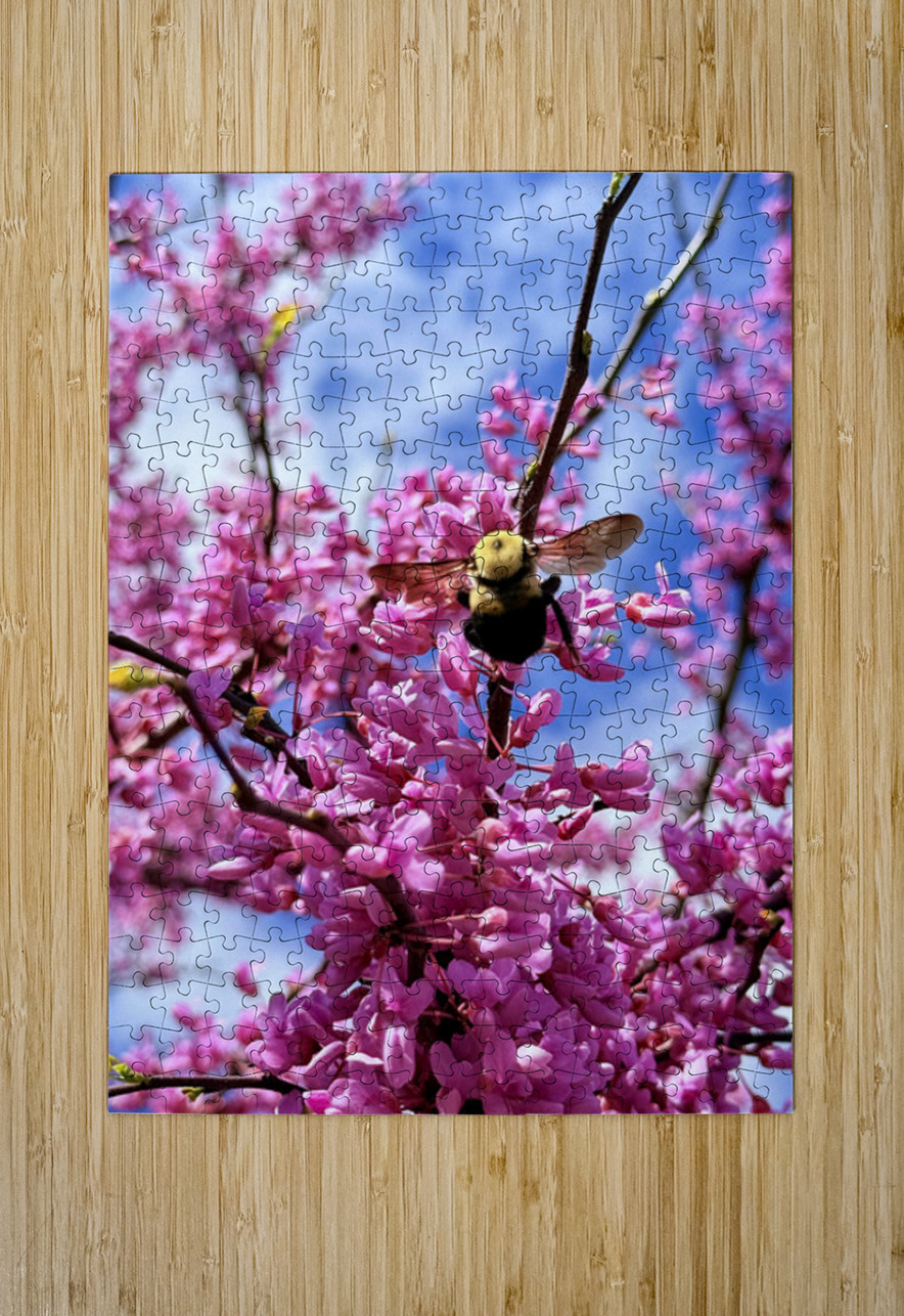 The Bloom Rider Click4Pix Puzzle printing