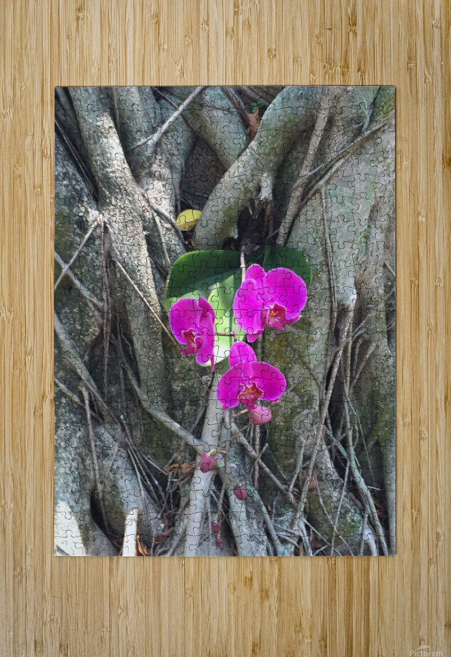 Natural Orchid 1B Click4Pix Puzzle printing