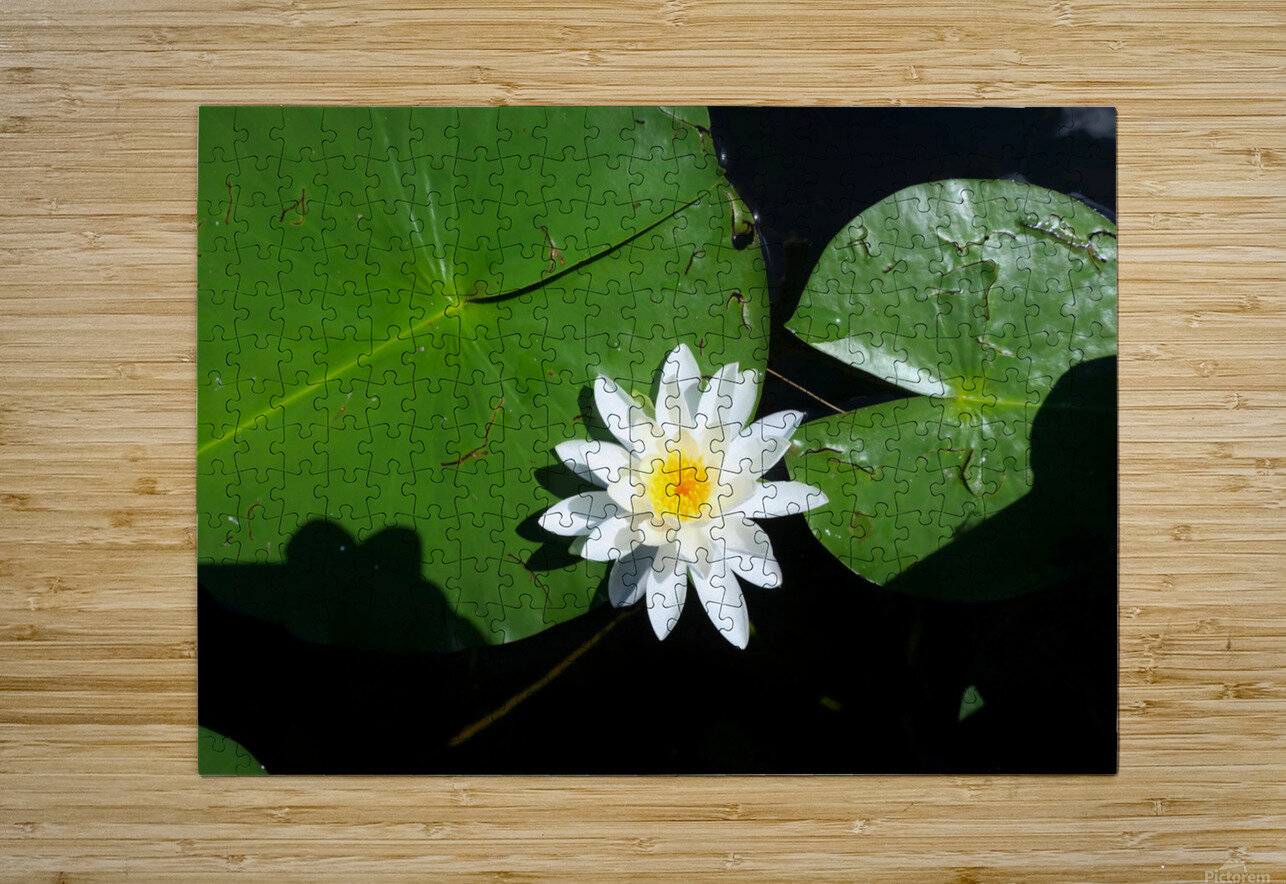 Blooms of Joy 2 Click4Pix Puzzle printing