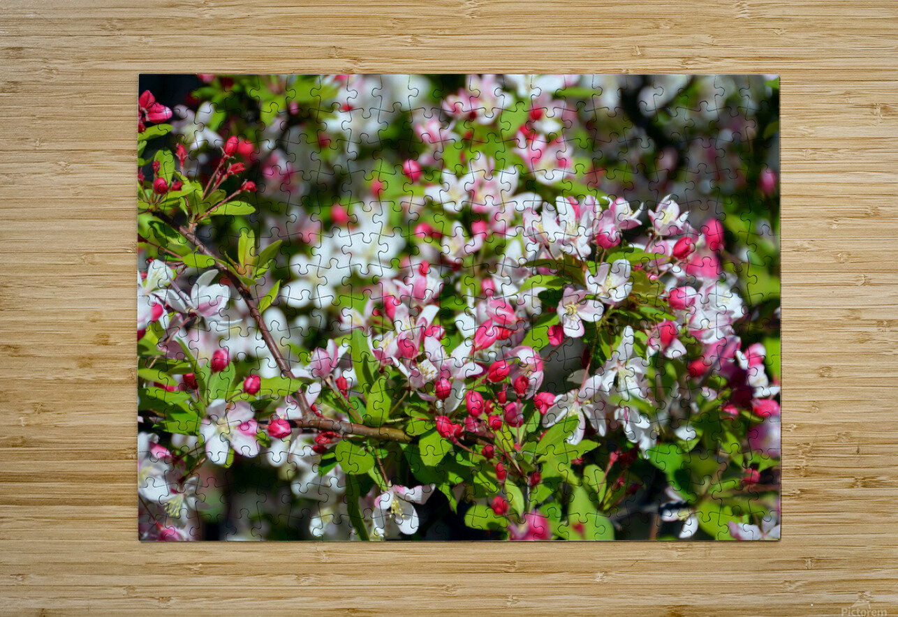 A Berry Cherry Blossom Day to You Click4Pix Puzzle printing