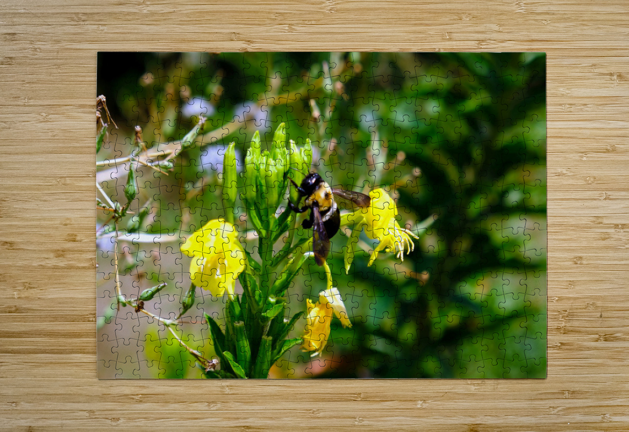 To Bee or Not to Bee  4 Click4Pix Puzzle printing