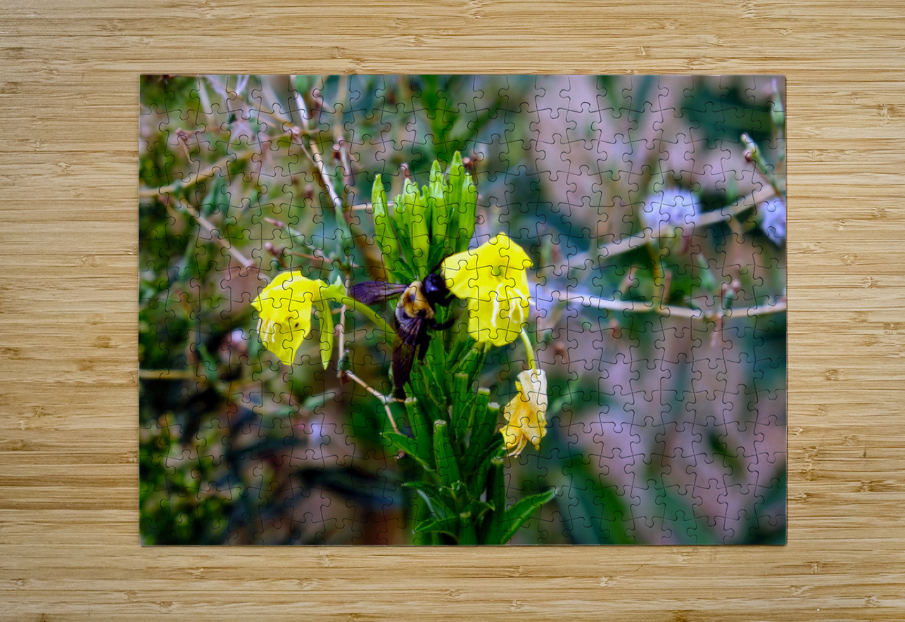 To Bee or Not to Bee  -- Checking Under The Hood Click4Pix Puzzle printing