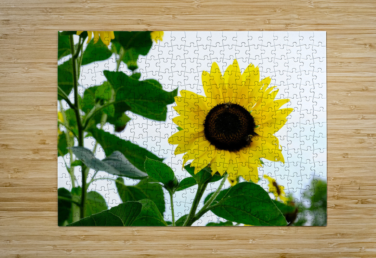 Hello Sunshine 2 Click4Pix Puzzle printing