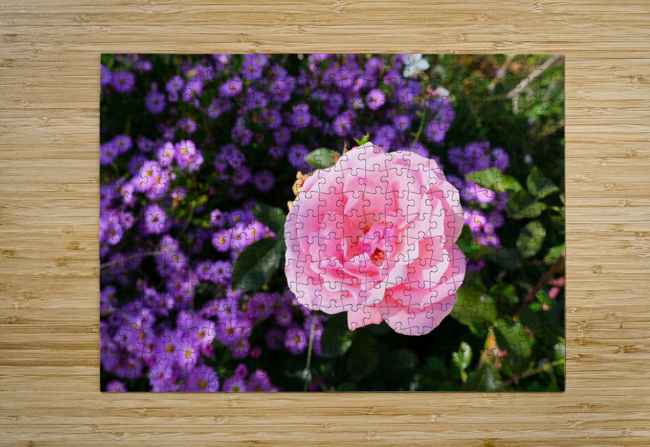 Flower Bloom 6 Click4Pix Puzzle printing