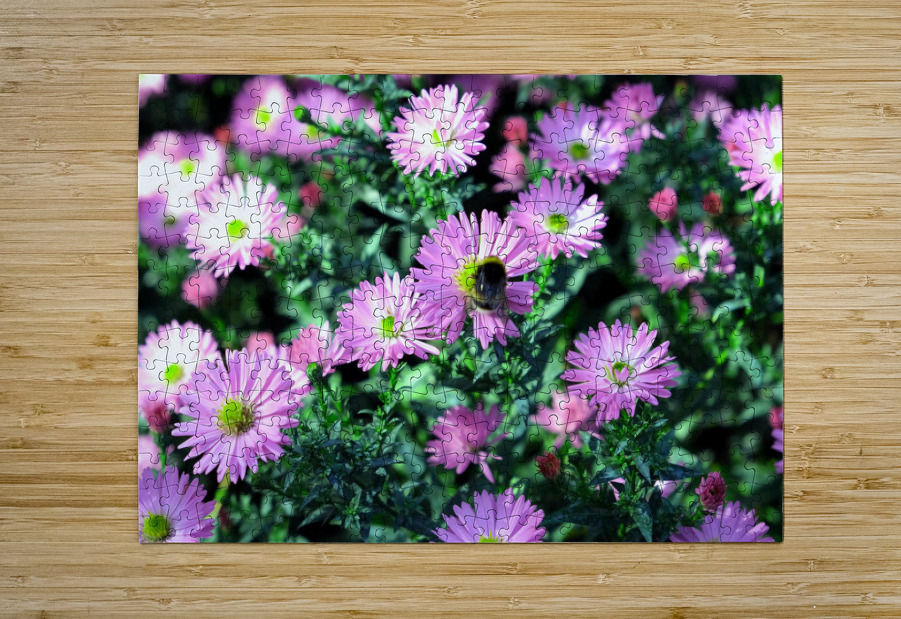 Pink Daisies 2C Click4Pix Puzzle printing